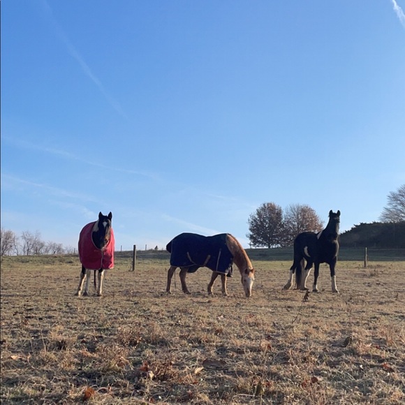 Meet your Posher, Jenny - Picture 4 of 17